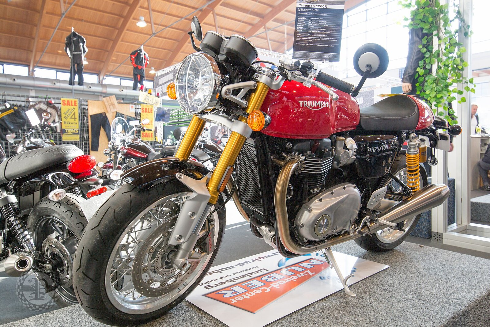 Triumph · Thruxton